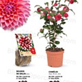Antevisão Folheto LIDL Especial Jardinagem d30.jpg